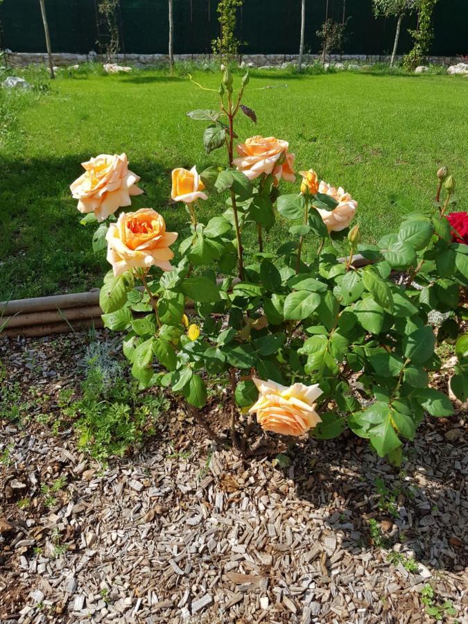Bed and Breakfast Mas D'Azur Roquefort-les-Pins Esterno foto