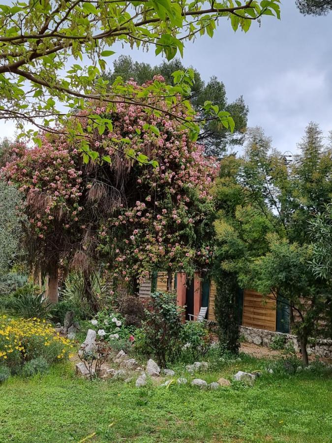 Bed and Breakfast Mas D'Azur Roquefort-les-Pins Esterno foto