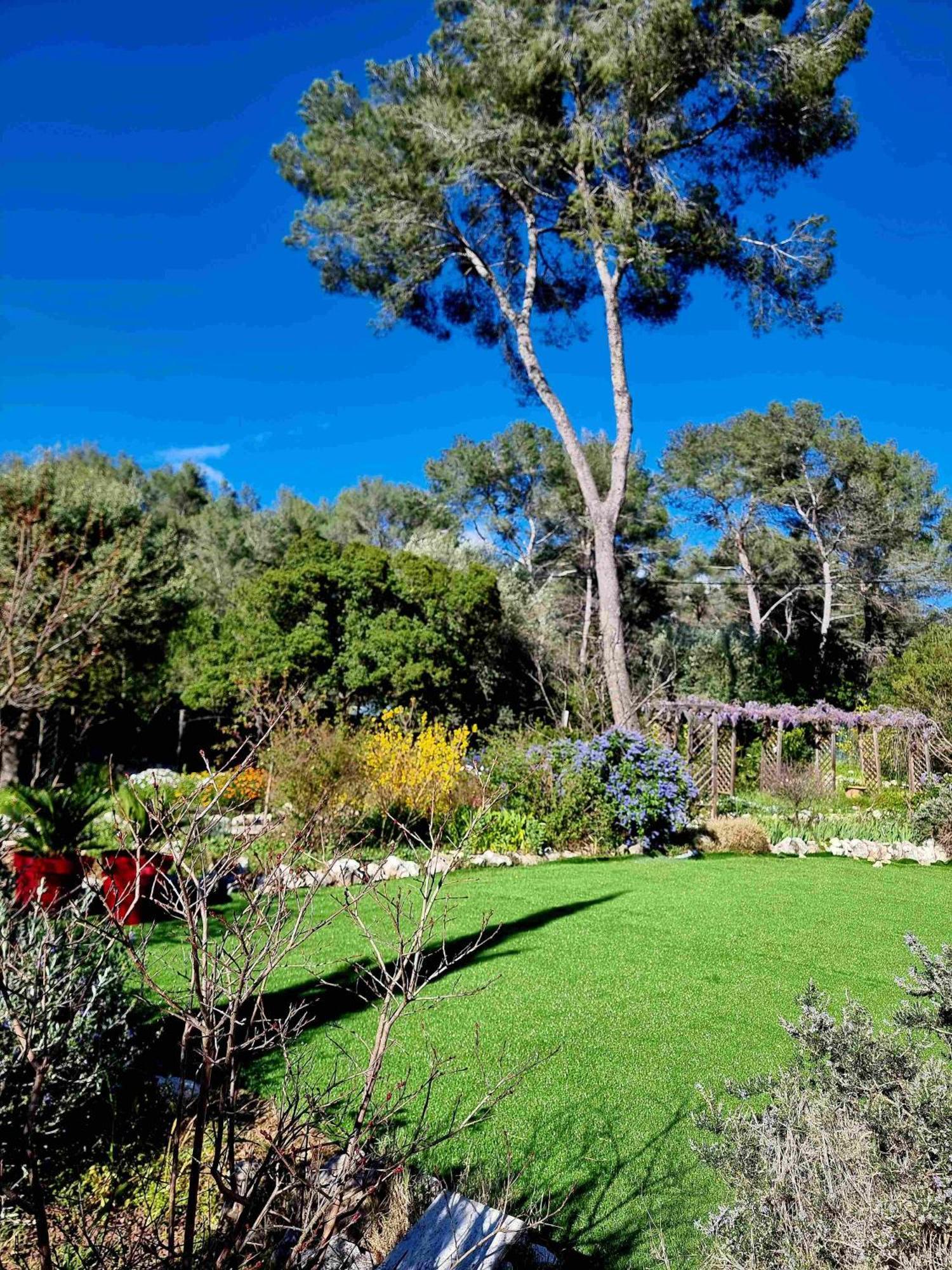Bed and Breakfast Mas D'Azur Roquefort-les-Pins Esterno foto