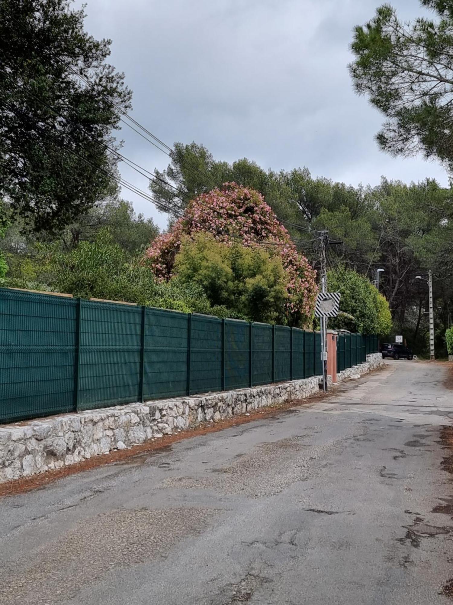 Bed and Breakfast Mas D'Azur Roquefort-les-Pins Camera foto